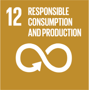 responsible consumption and production